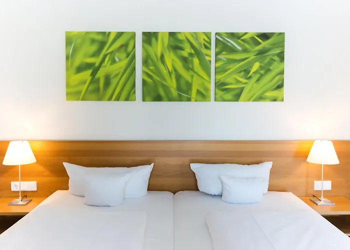 호텔 B&o Parkhotel 4*